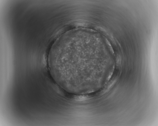X0000101090282200807241014