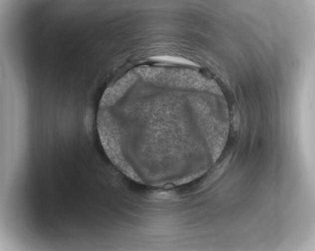 X0000101090283200807241014