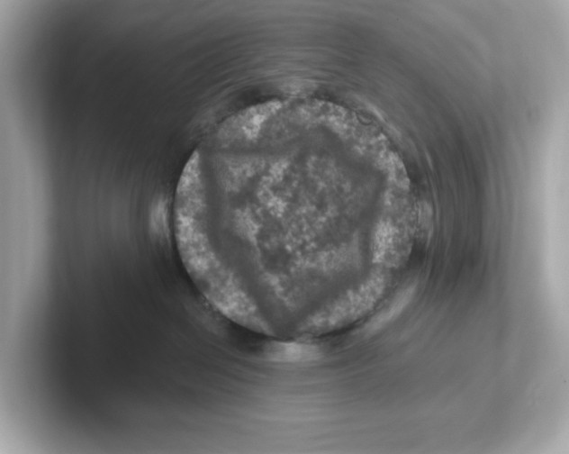 X0000101090286200807241014