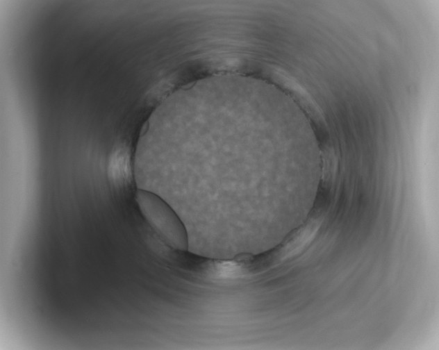 X0000101090287200807241014