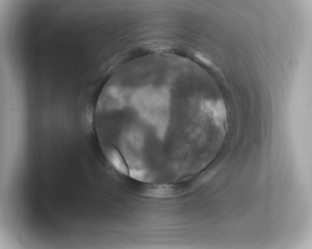 X0000101090288200807241014
