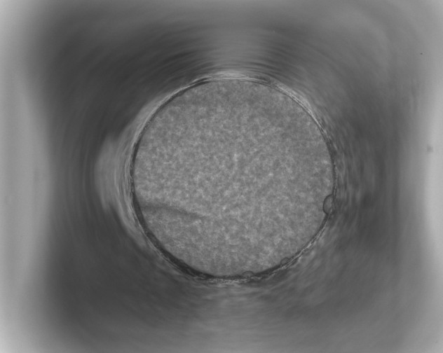 X0000101090289200807241013