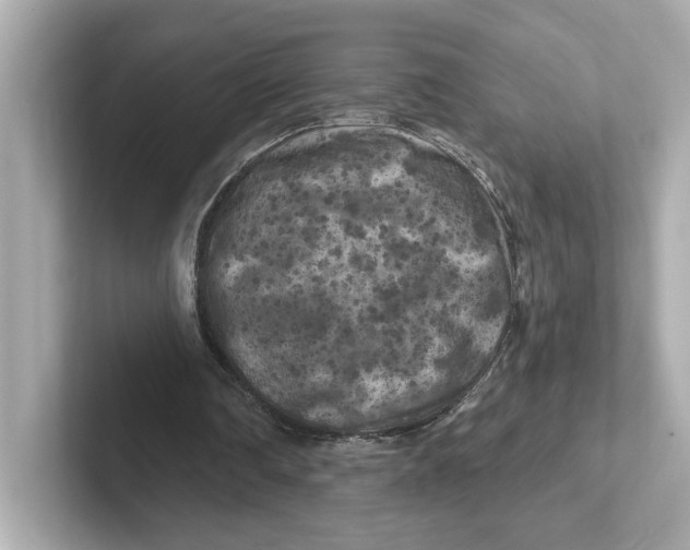 X0000101090290200807241013