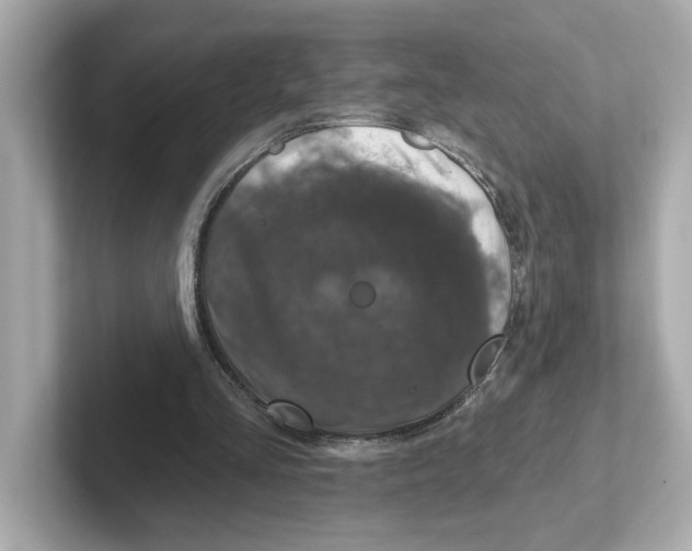 X0000101090293200807241013