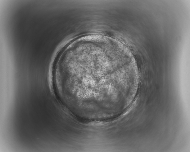 X0000101090294200807241013
