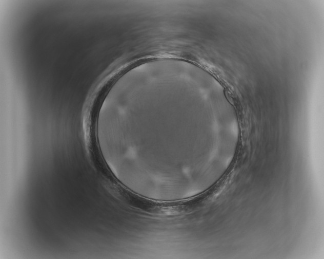 X0000101090295200807241013