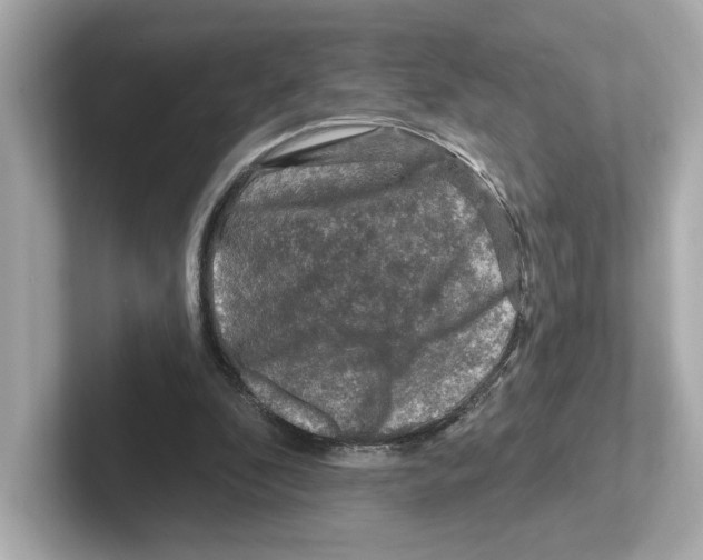 X0000101090296200807241013