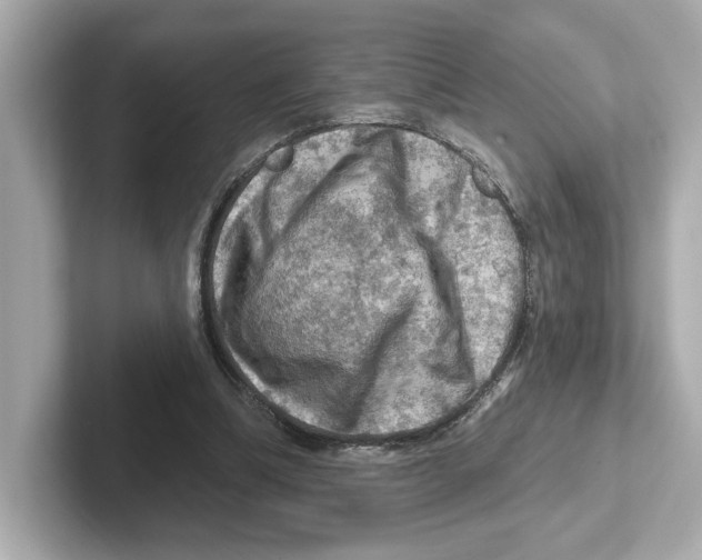 X0000101090298200807241013