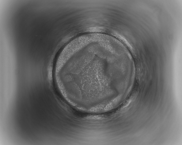 X0000101090299200807241013