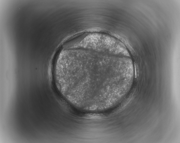 X0000101090300200807241013