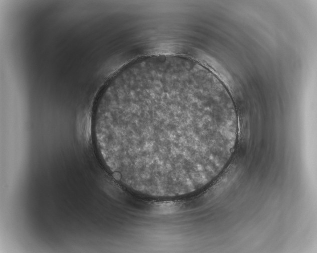 X0000101090301200807241013