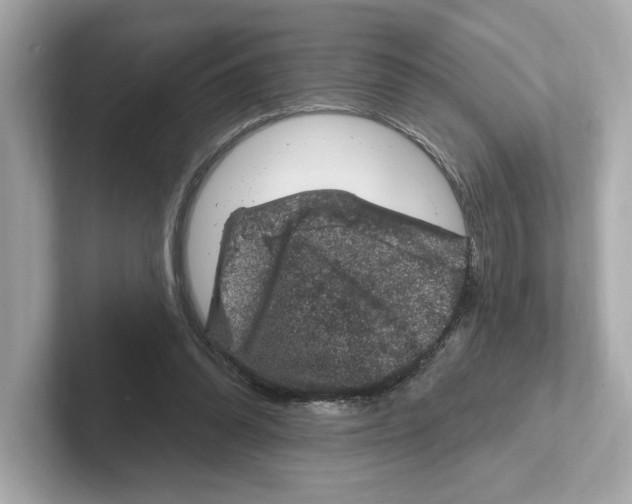 X0000101090302200807241013