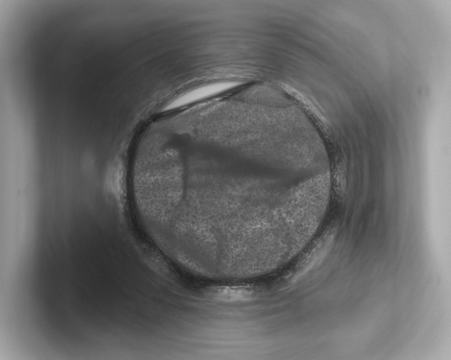 X0000101090303200807241013