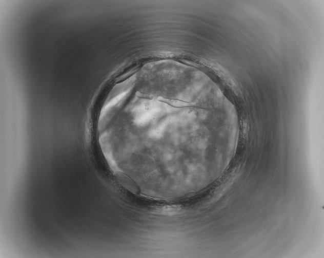 X0000101090304200807241013