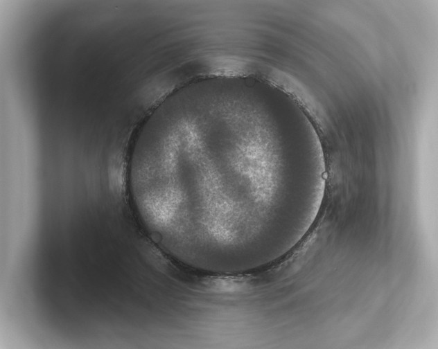 X0000101090305200807241013