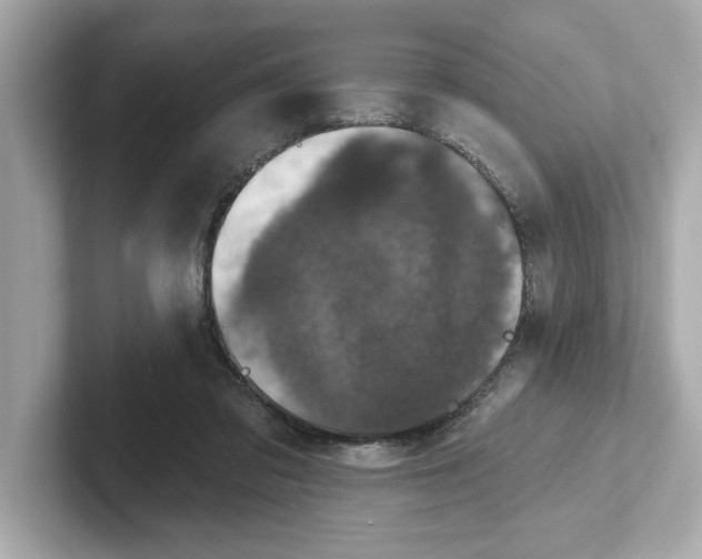 X0000101090309200807241013