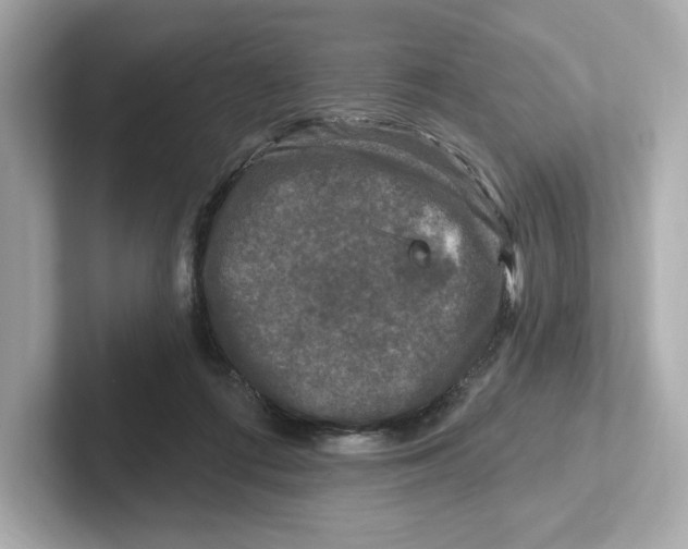 X0000101090312200807241013