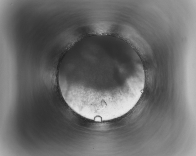 X0000101090313200807241013