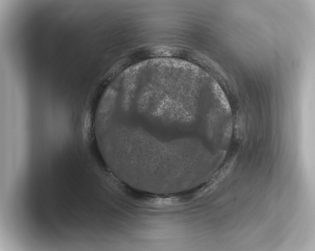 X0000101090314200807241013