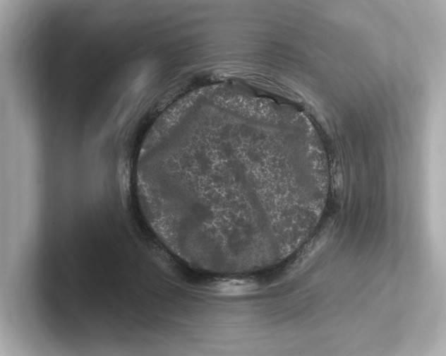X0000101090315200807241013