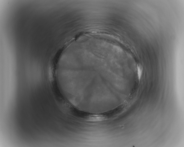 X0000101090316200807241013