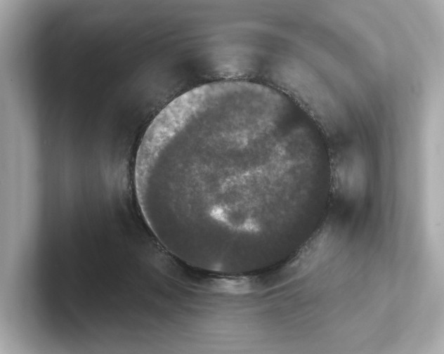X0000101090317200807241013