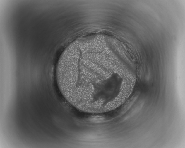 X0000101090319200807241013