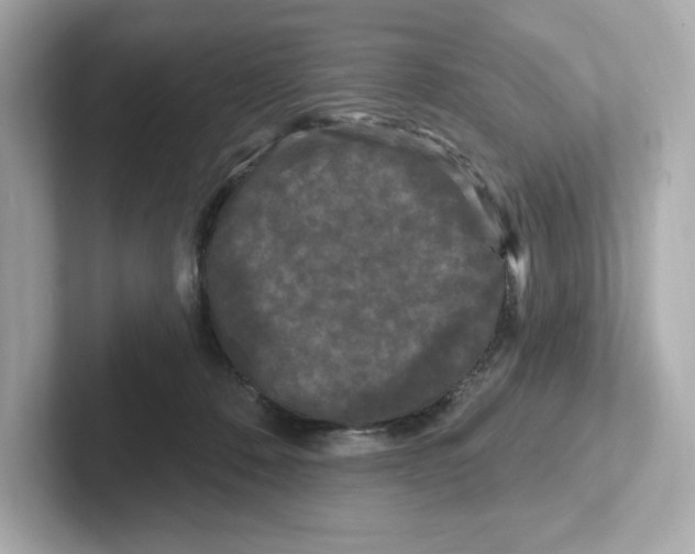 X0000101090320200807241013