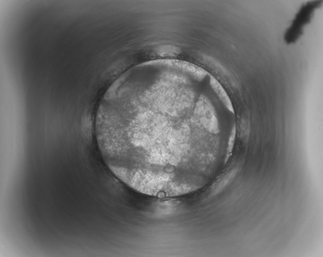 X0000101090321200807241013