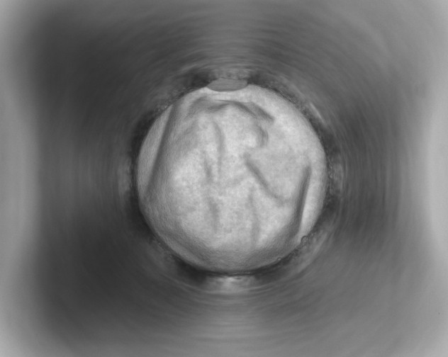 X0000101090323200807241013