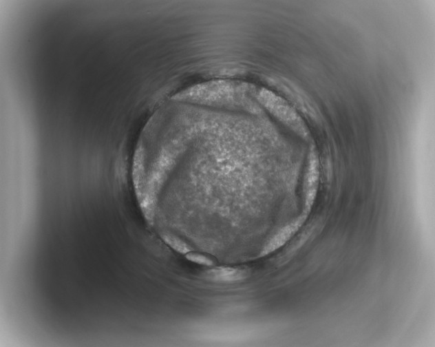 X0000101090326200807241013