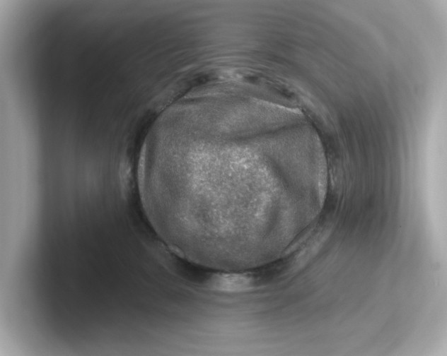 X0000101090327200807241013
