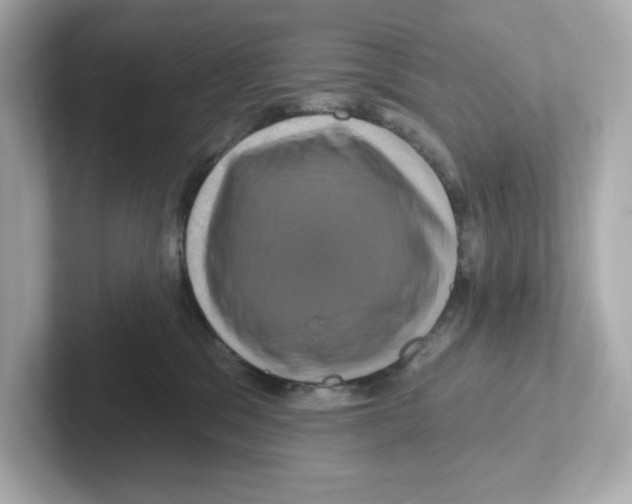X0000101090329200807241013