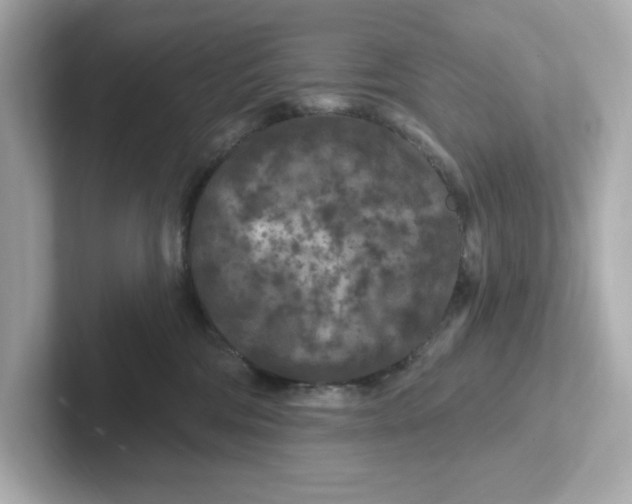 X0000101090330200807241013