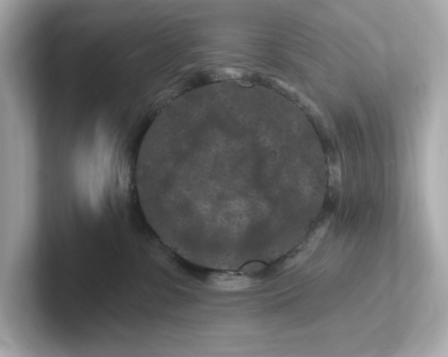 X0000101090331200807241013
