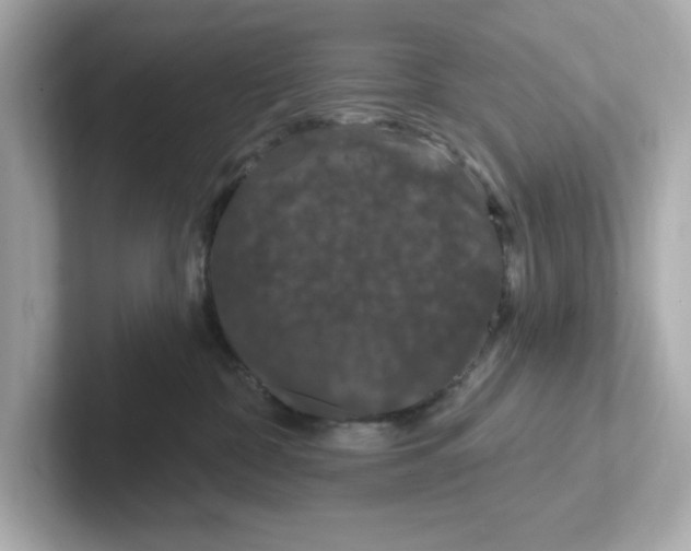 X0000101090332200807241013