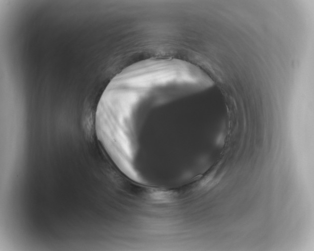 X0000101090336200807241013