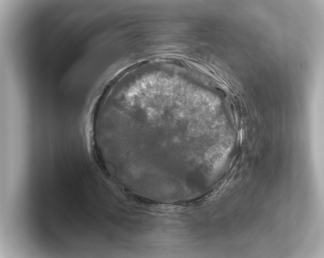 X0000101090339200807241012