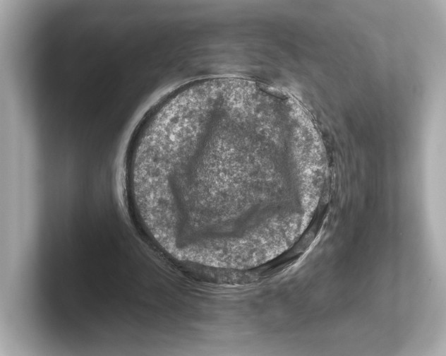 X0000101090342200807241012