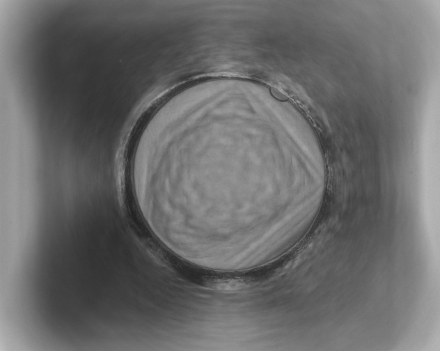 X0000101090344200807241012