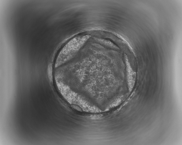 X0000101090345200807241012
