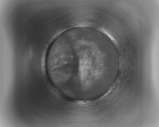 X0000101090346200807241012