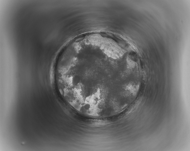 X0000101090347200807241012