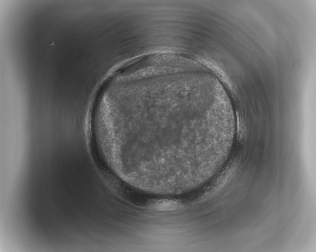 X0000101090348200807241012