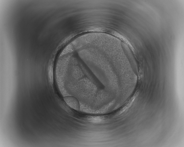 X0000101090349200807241012