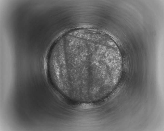 X0000101090350200807241012