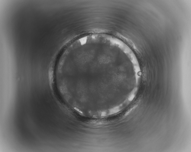 X0000101090351200807241012
