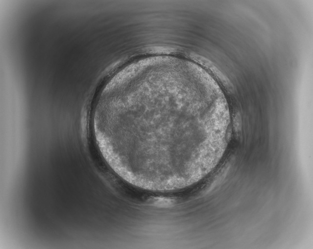 X0000101090352200807241012