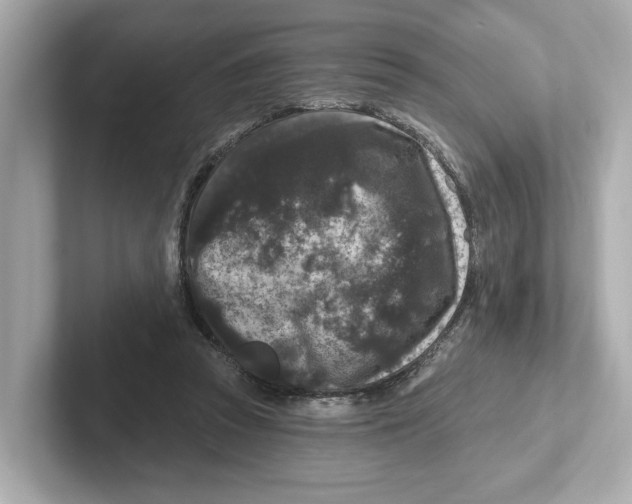 X0000101090353200807241012