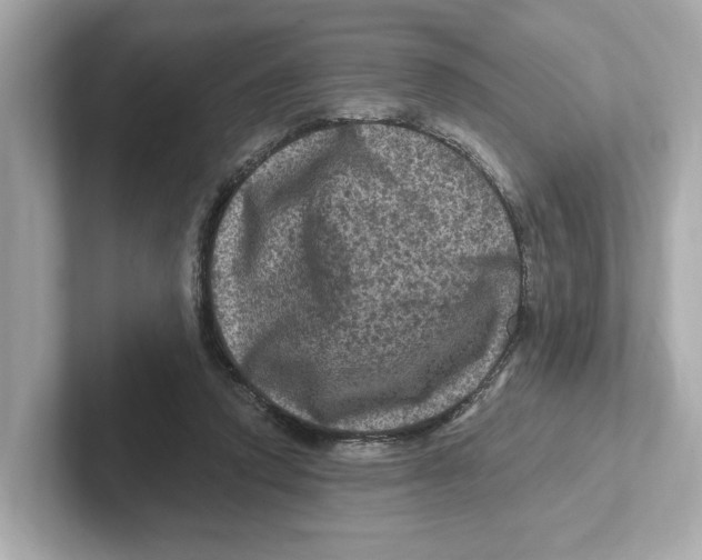 X0000101090354200807241012
